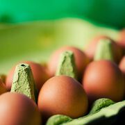 Eier sind gesünder als bislang angenommen