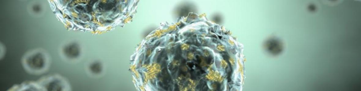 Influenza bleibt nach wie vor unberechenbar