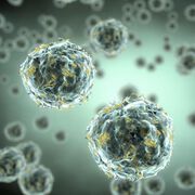 Influenza bleibt nach wie vor unberechenbar