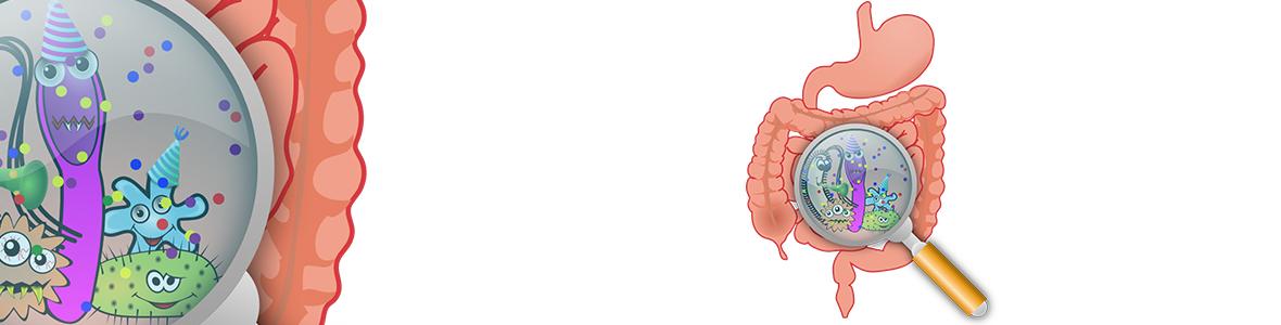 Liegt der Schlüssel zur Gesundheit im Darm? - Video