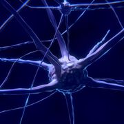 Neurologische Erkrankungen und Versorgungslücken: Nicht-Behandlung kommt am teuersten