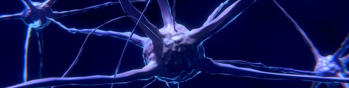 Neurologische Erkrankungen und Versorgungslücken: Nicht-Behandlung kommt am teuersten