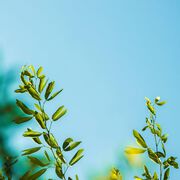 1. Österreichischer Tag der Ganzheitsmedizin am 11. Juli 2018