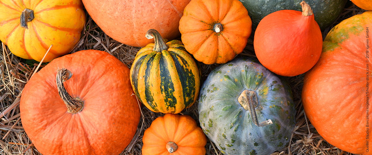 Halloween – wenn die Kürbiszeit zur Allergiezeit wird