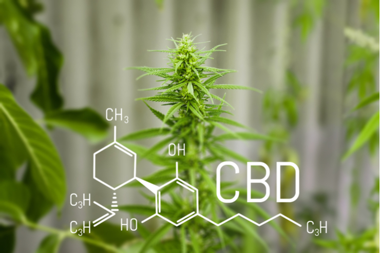 Cannabis in der neurologischen Praxis - Video
