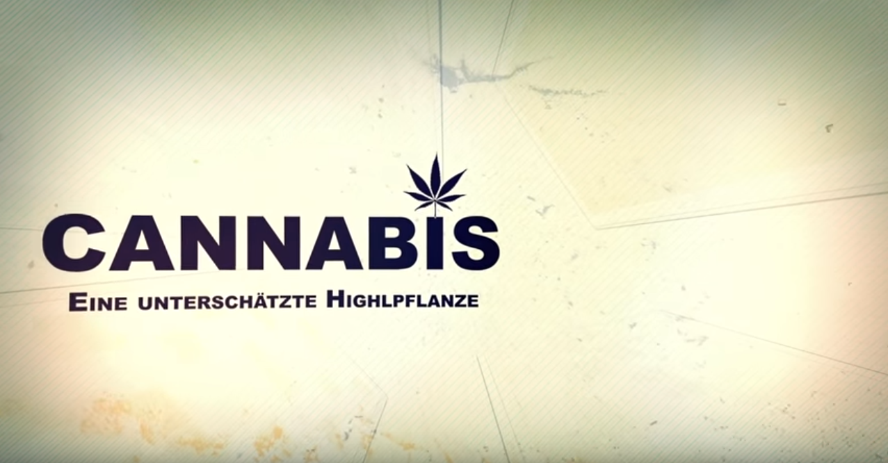 Cannabis - eine unterschätzte Highlpflanze - FILM