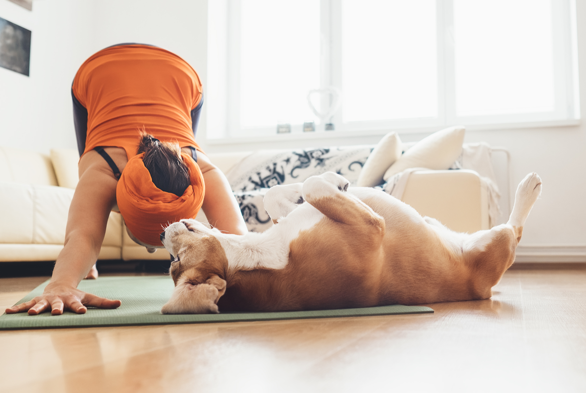 Yoga mit dem Hund
