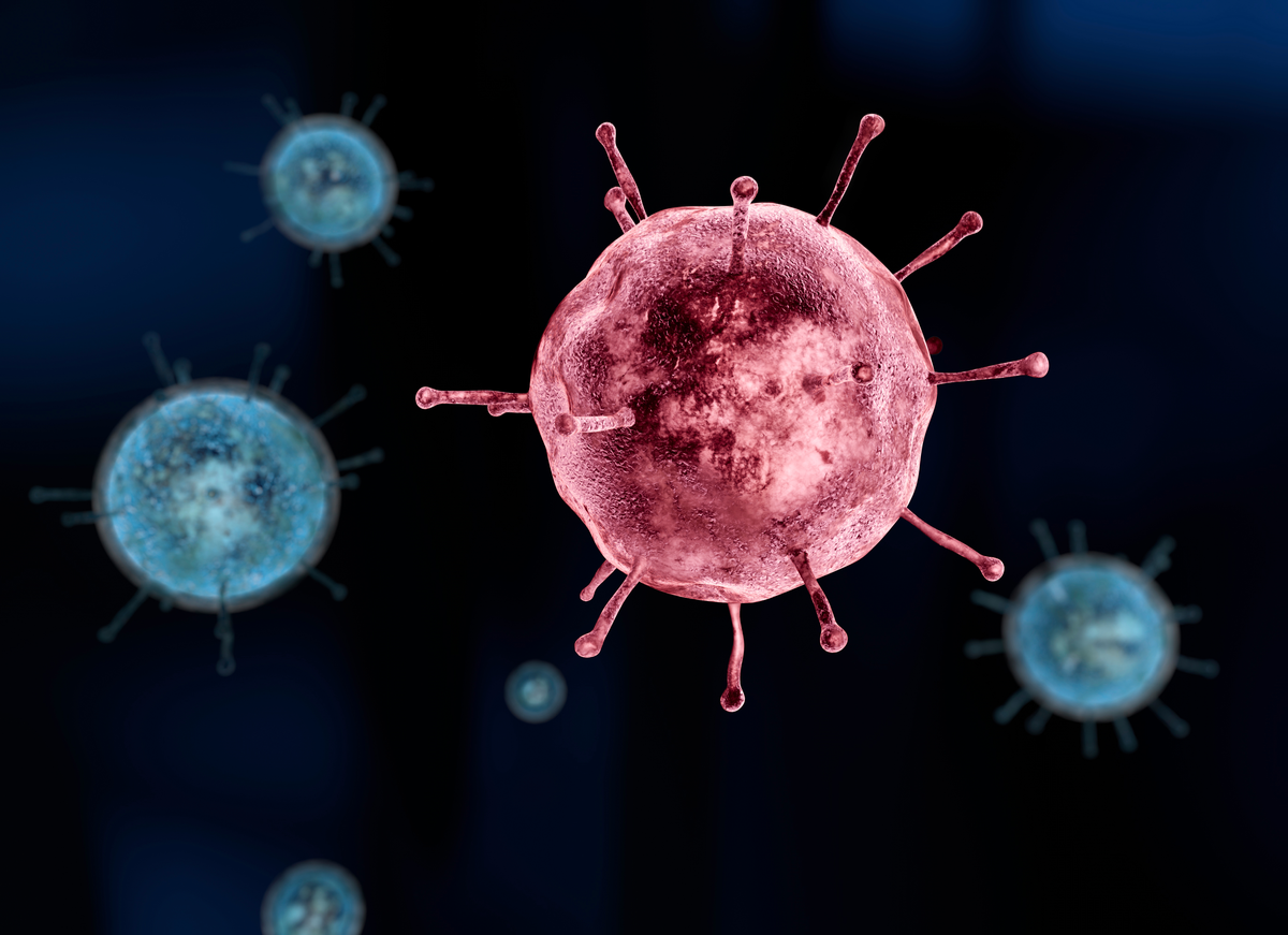 Influenza Virus