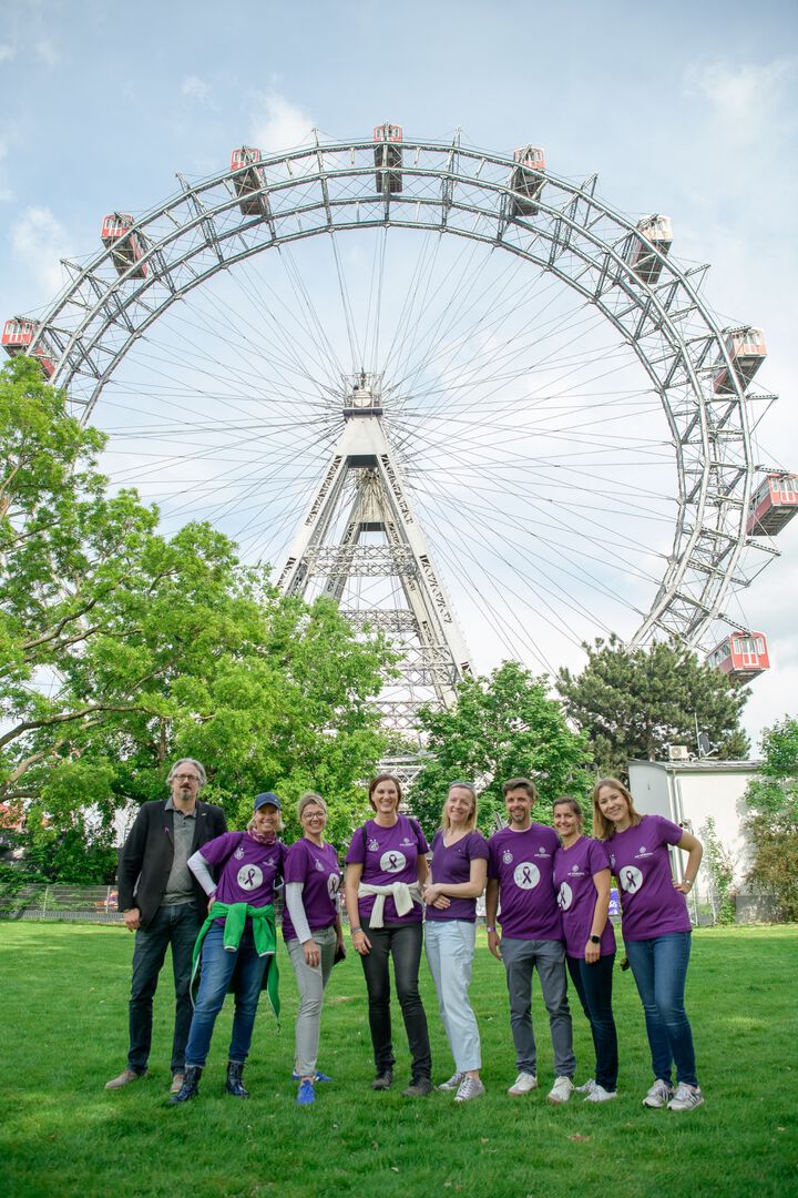 CED-Kompass Wiener Riesenrad
