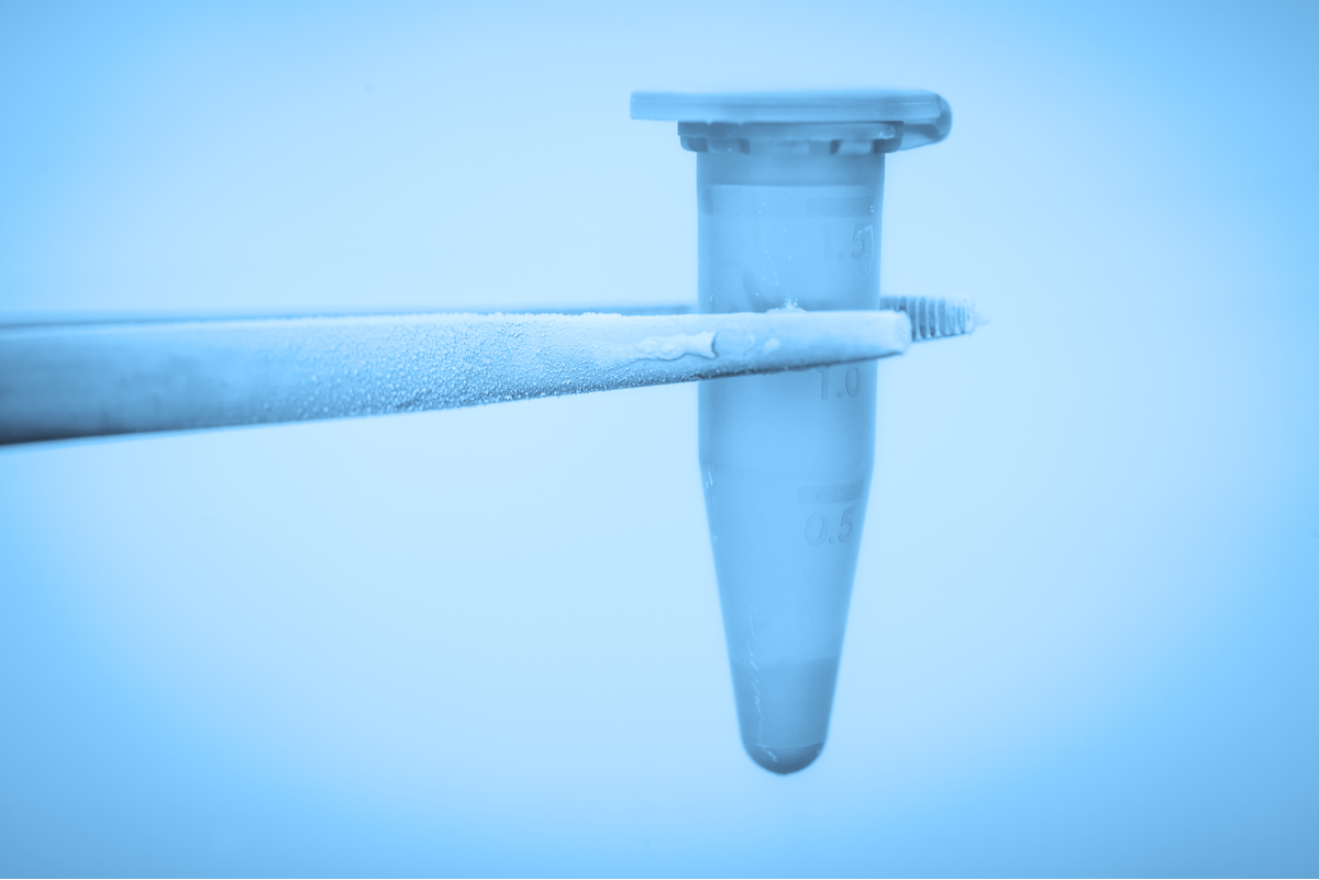 Social Egg Freezing: Moderne Technologie für selbstbestimmte Familienplanung