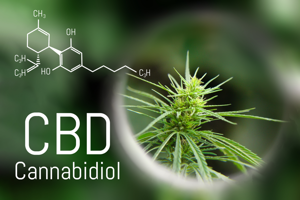 Die Mehrheit der Österreicher steht CBD positiv gegenüber