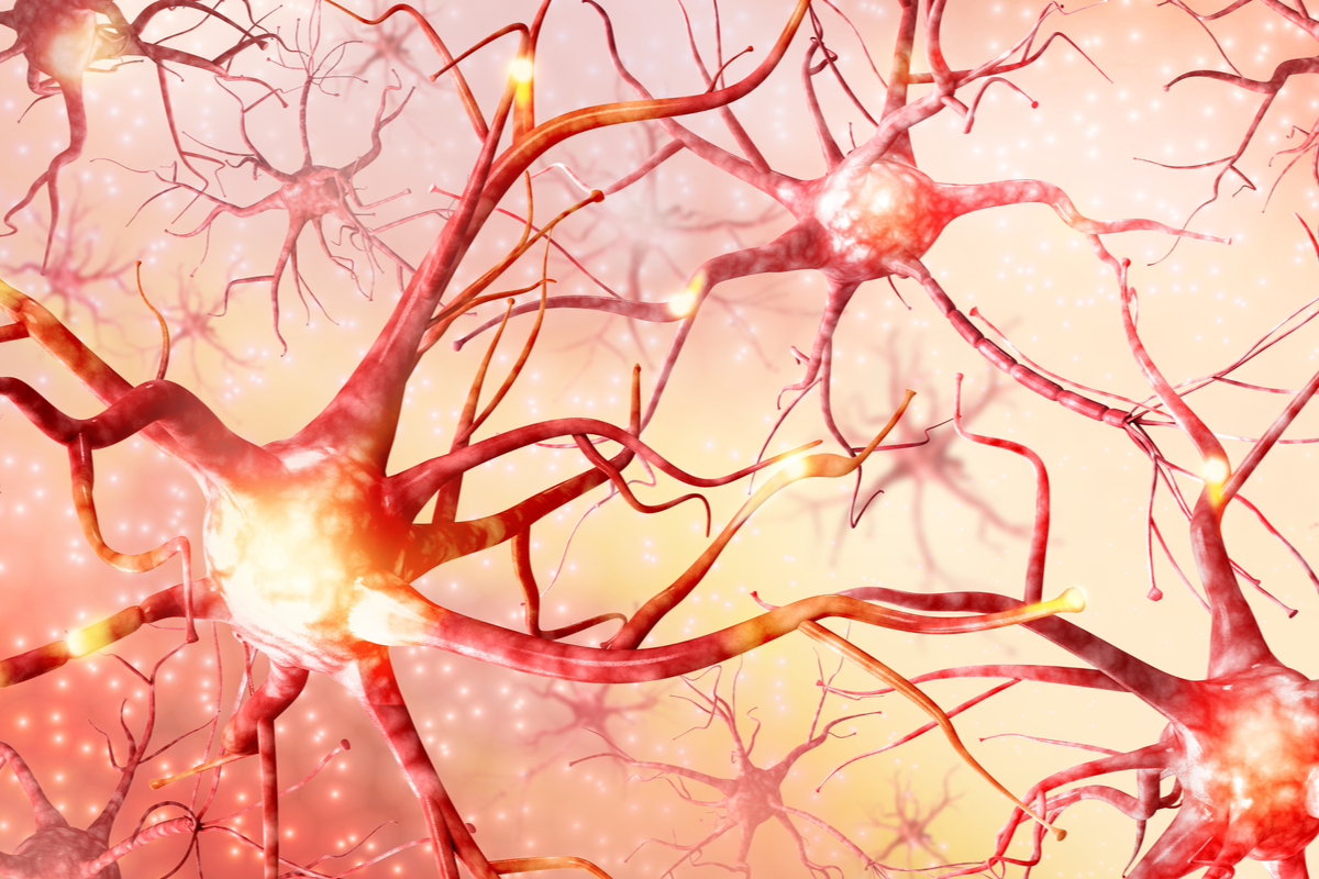 MS: Cholesterin-Kristalle stören Reparatur im ZNS