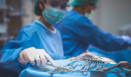 MedUni Wien etabliert Forschungsplattform Transplantationsmedizin
