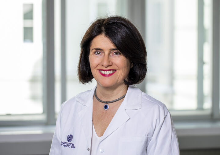 Maria Sibilia neue Vorsitzende des Senats der MedUni Wien