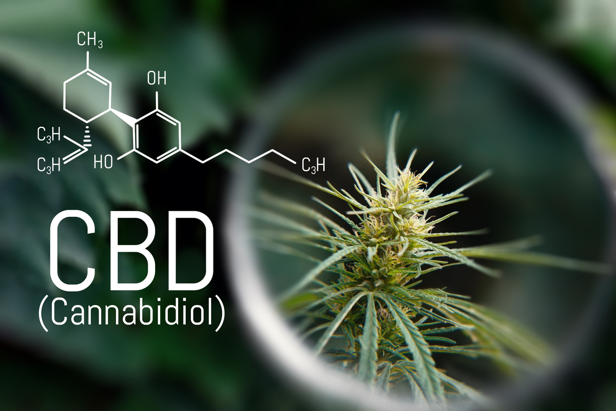 Experten diskutieren vielfältiges Potenzial von Cannabinoid-Medikamenten beim European Health Forum Gastein