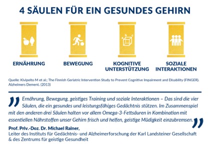 Gesundes Gehirn