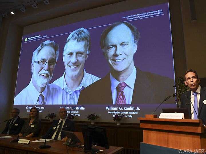 Drei Zellbiologie-Forscher erhalten Medizin-Nobelpreis