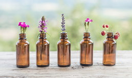 Antibiotikanutzung & Resistenzentwicklung: Infektabwehr mit evidenz-basierter Phytotherapie