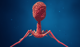 Neue Virus-Art in Körperflüssigkeiten entdeckt