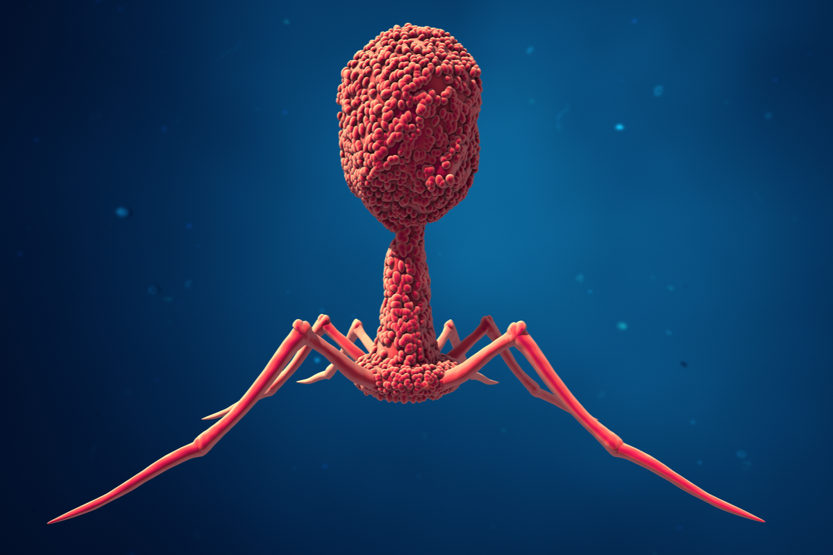 Neue Virus-Art in Körperflüssigkeiten entdeckt
