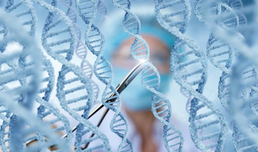 Gentherapie mit Crispr/Cas9 zeigt Erfolg bei Patientin mit Blutarmut