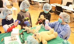 Teddybär-Krankenhaus: Spital für Kuscheltiere öffnet wieder von 16. bis 18. Dezember 2019 in Wien