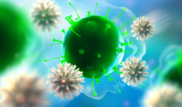 Botenstoff des Immunsystems drosselt Leberaktivität bei Infektionen