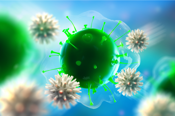 Botenstoff des Immunsystems drosselt Leberaktivität bei Infektionen 
