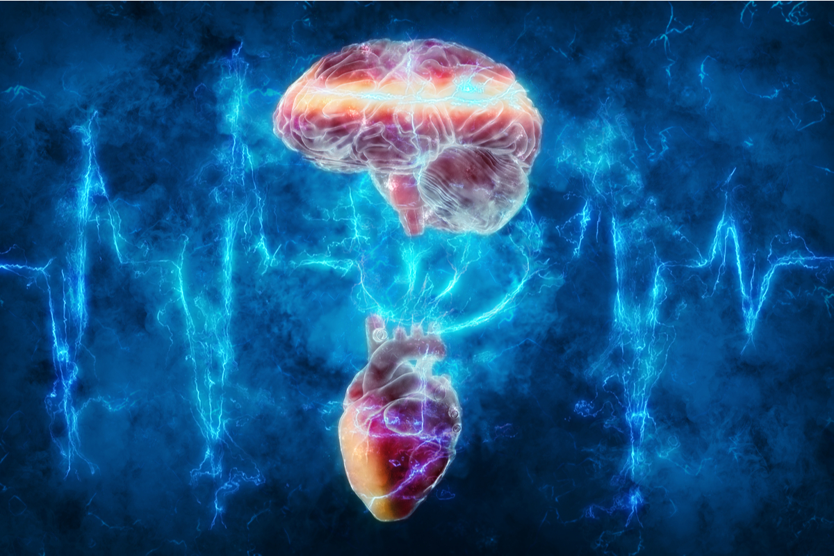 Vielfalt statt Einklang: So kommunizieren Herz, Hirn und Psyche
