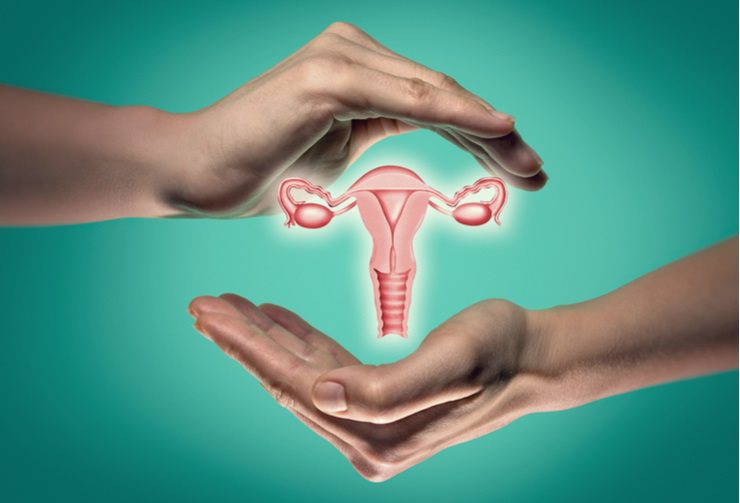 Diagnostik & Therapie mittels Gebärmutterspiegelung