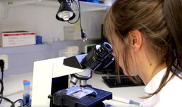 Exklusives Studienangebot Molekulare Medizin: Sehr gefragte AbsolventInnen