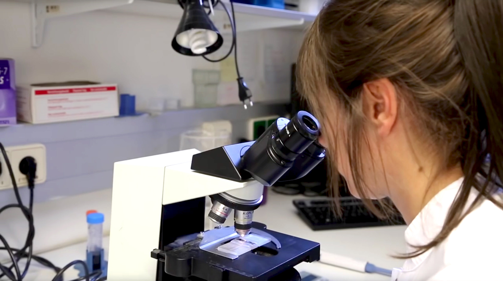 Exklusives Studienangebot Molekulare Medizin: Sehr gefragte AbsolventInnen