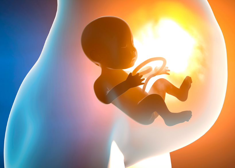 Fetalmedizin: Was? Wie? Wozu? - VIDEO
