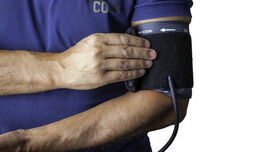 Auf der Suche nach neuen Therapieansätzen für Leberfibrose und Portale Hypertension