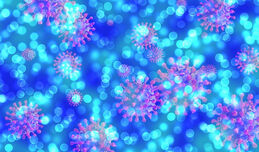 SARS-CoV-2 und das Immunsystem: Wie sich COVID-19 in der 3D-Zellkultur simulieren lässt