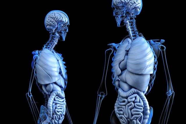 Invasive Eingriffe bei Kindern im Vorfeld mittels 3D-Modellen planen und trainieren