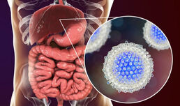 Hepatitis C: Neue Methode zur nicht-invasiven Risikoeinschätzung nach Heilung entwickelt