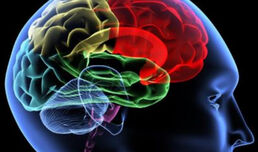 Morbus Parkinson – neue Therapiekonzepte für mehr Lebensqualität