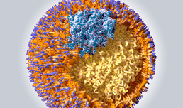 Neues Medikament könnte Cholesterinsenkung revolutionieren