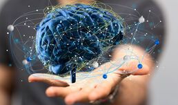 Neue Guidelines zur Diagnose und Behandlung von Hirnmetastasen