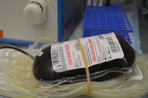 St. Pölten sucht dringend Blutspender, vor allem "0 negativ"