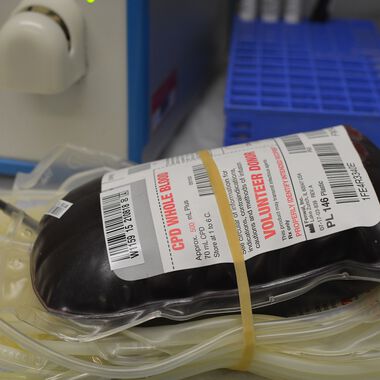 St. Pölten sucht dringend Blutspender, vor allem "0 negativ"