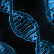 Risiko von Speiseröhrenkrebs könnte mittels Genanalyse bestimmt werden