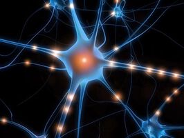 Zytokin-Profile als neue Biomarker bei Multipler Sklerose