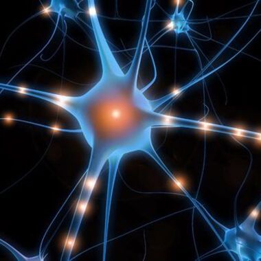 Zytokin-Profile als neue Biomarker bei Multipler Sklerose