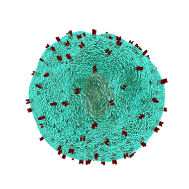 Immunsystem wird von ehemaligen Viren gesteuert