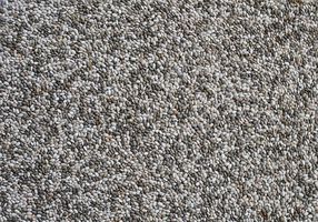 Chia-Samen – Humbug statt Superfood?