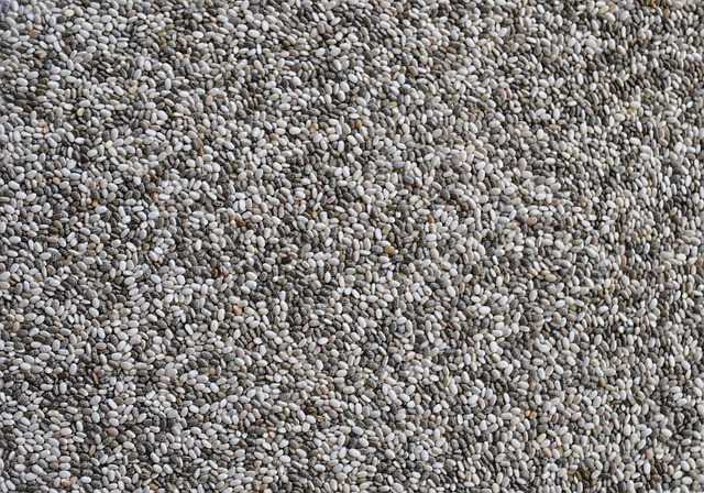 Chia-Samen – Humbug statt Superfood?