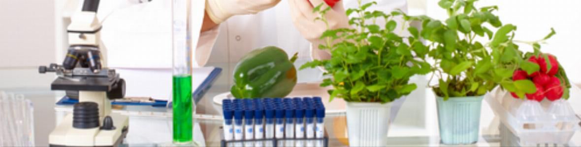 Multiple Sklerose: Pflanzenpeptid könnte den Ausbruch der Erkrankung verhindern