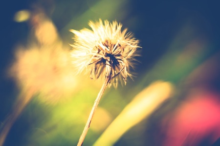 Assoc. Prof. Dr. Karin Hoffmann-Sommergruber klärt auf: Der richtige Umgang mit Allergien